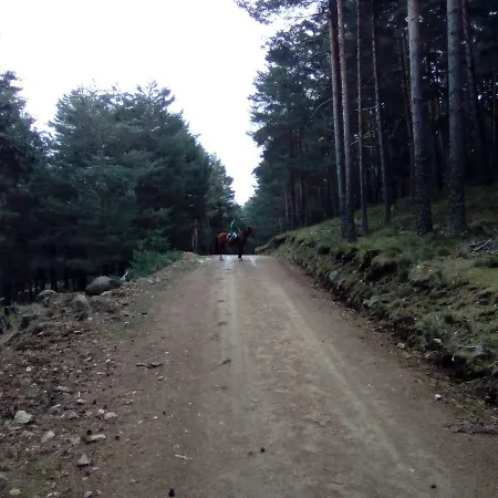 Arroyos 컨트리하우스 San Martin de la Vega del Alberche