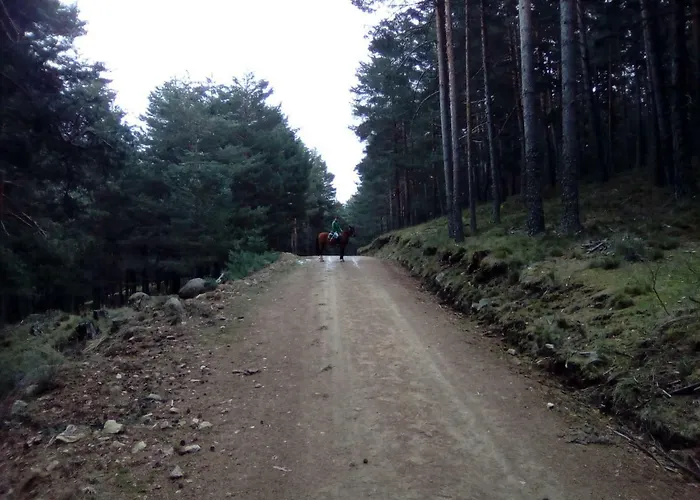 Arroyos Séjour à la campagne San Martin de la Vega del Alberche